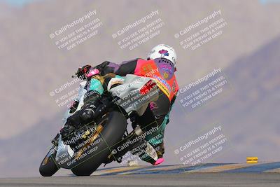 media/Nov-12-2023-SoCal Trackdays (Sun) [[5d1fba4e7d]]/Turn 9 Backside (1015am)/